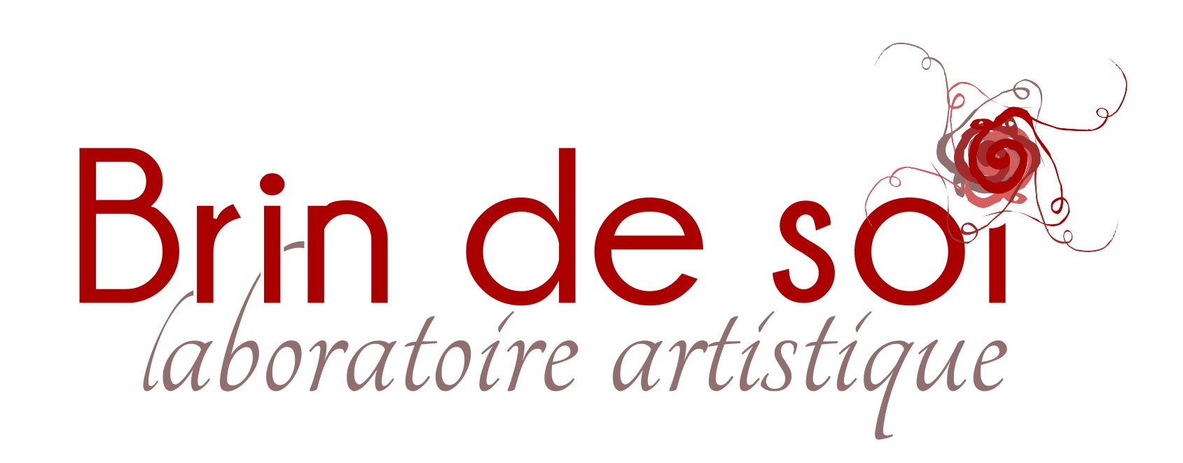 Logo Brin de soi
