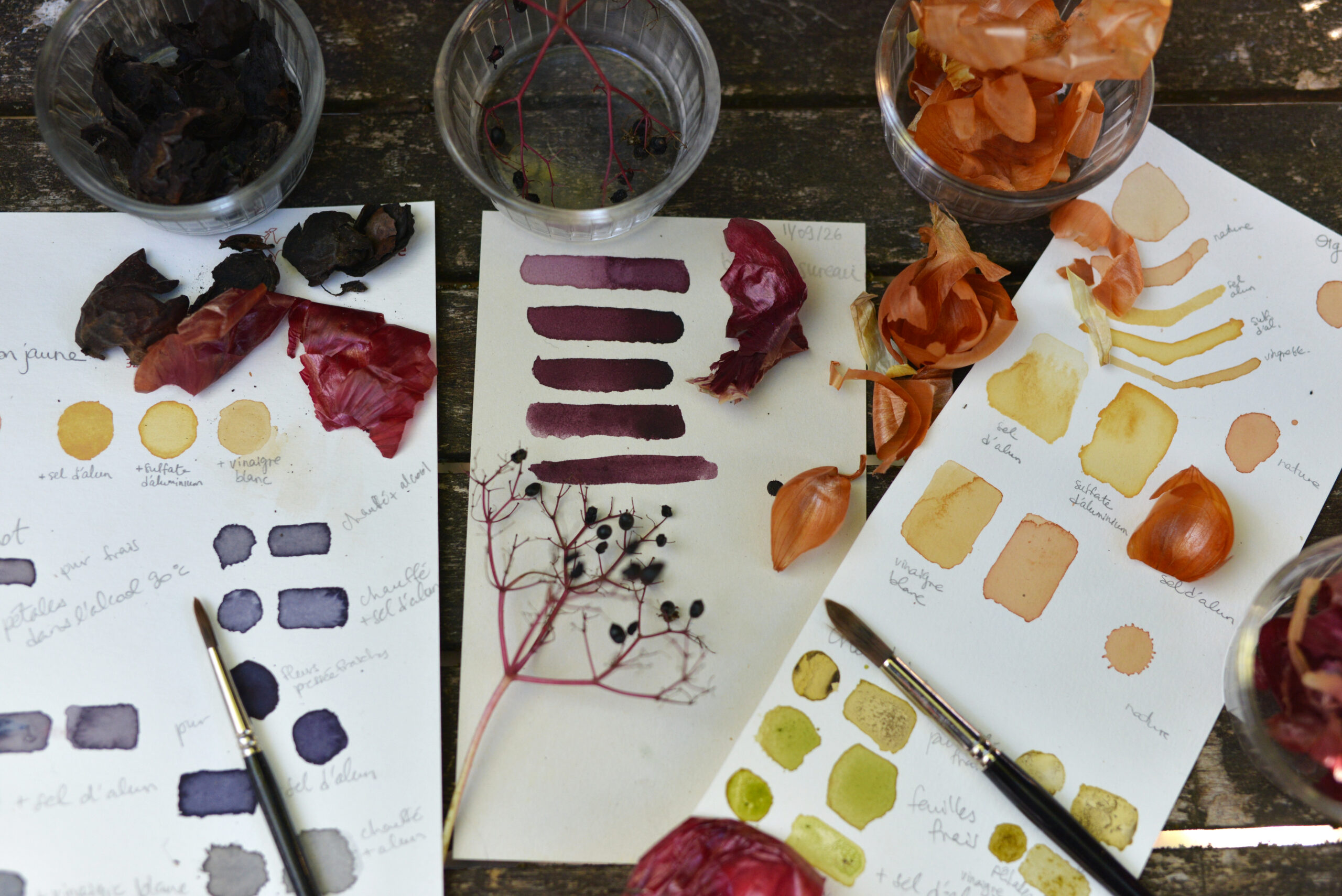Atelier · Peinture Encres Végétales